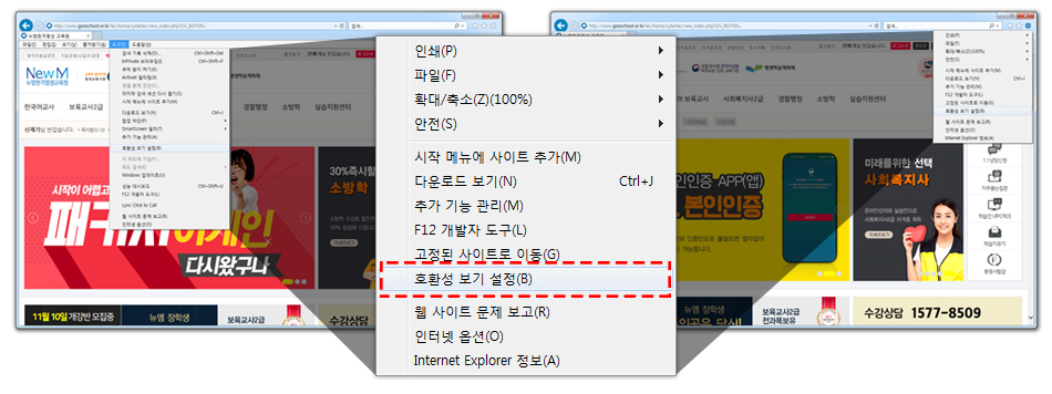 Internet Explorer ޴  > ȣȯ  